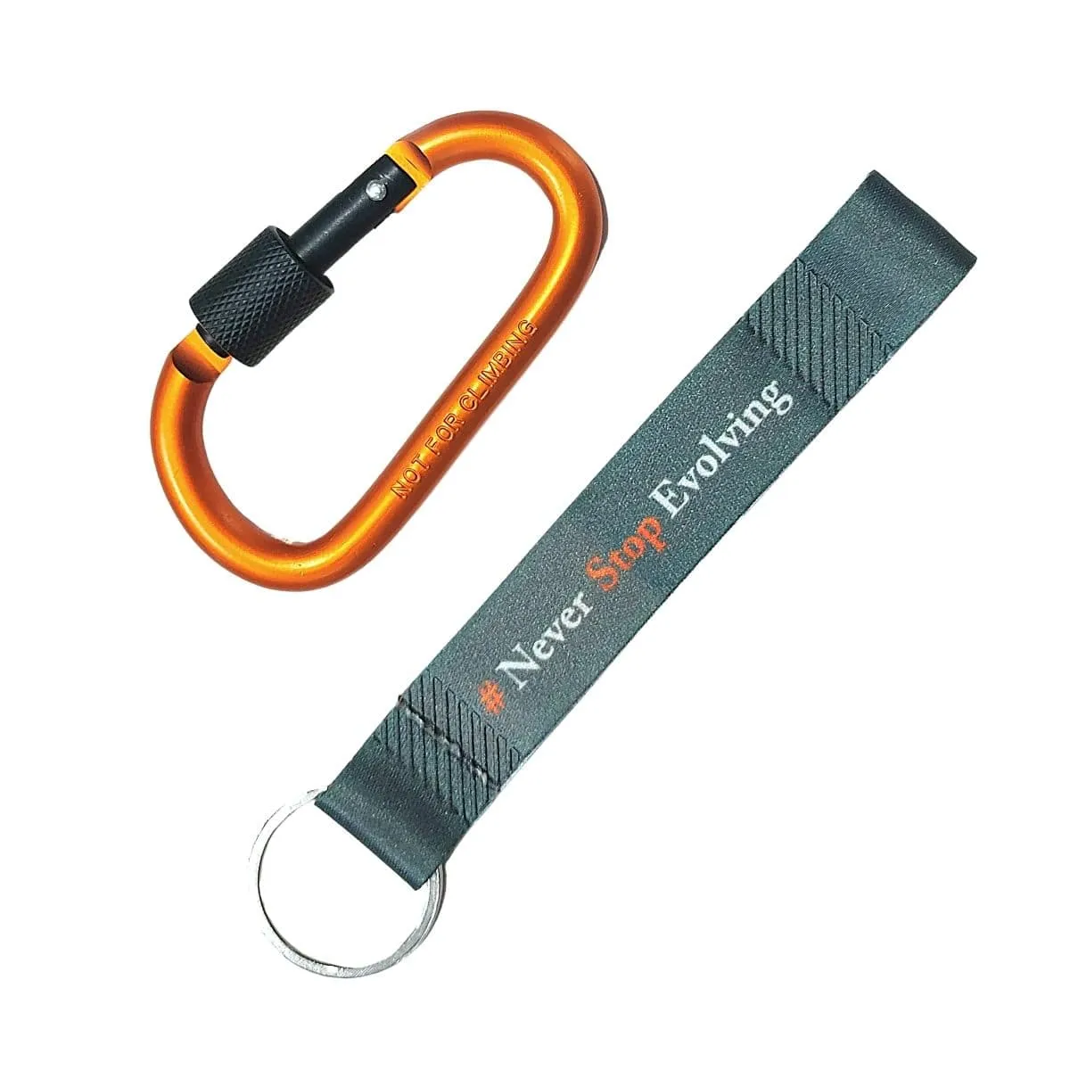 Accessory Carabiner with Key Ring