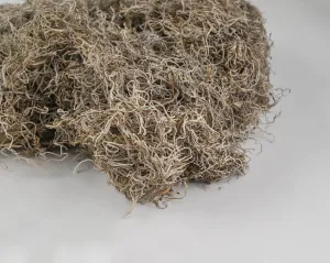 Dried Spanish Moss