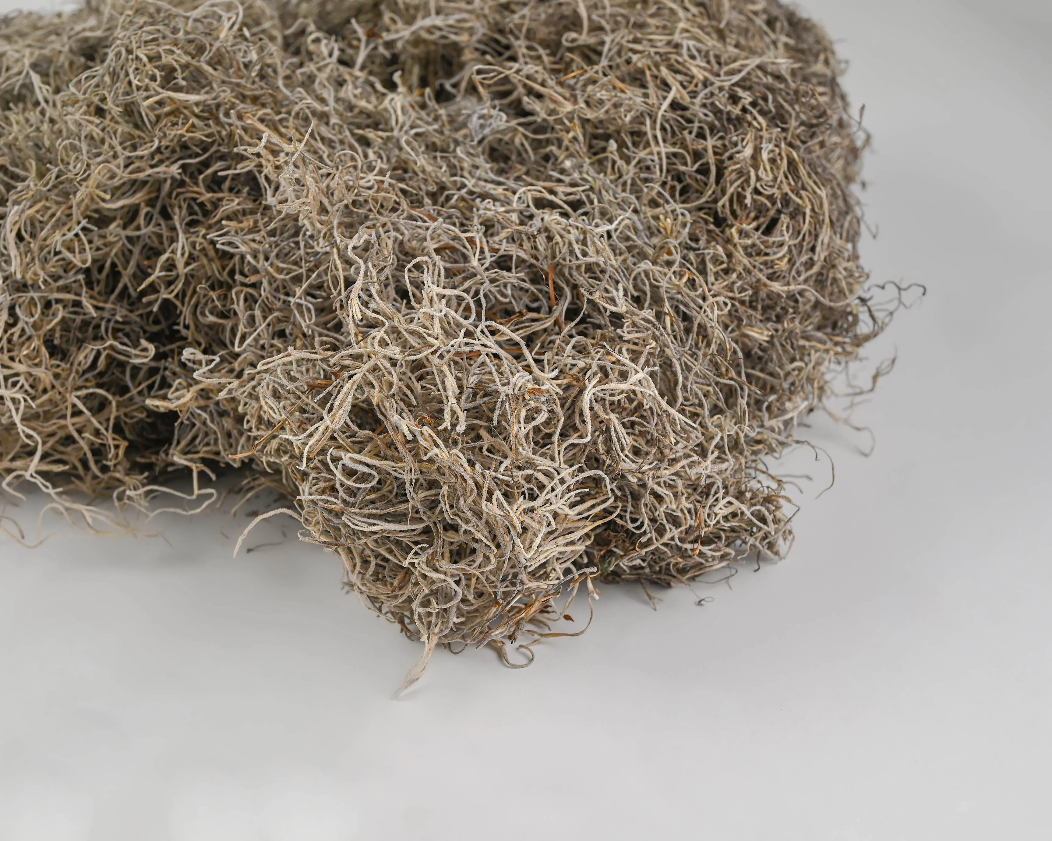 Dried Spanish Moss