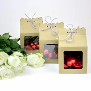 Kraft Gift Box with Clear Window and Twine Closure Pack of 12