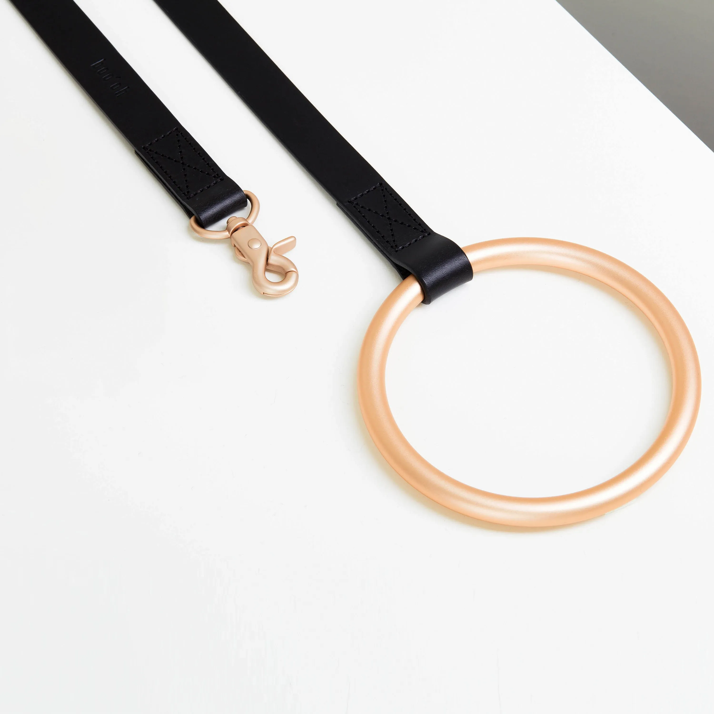 Lumi Leash