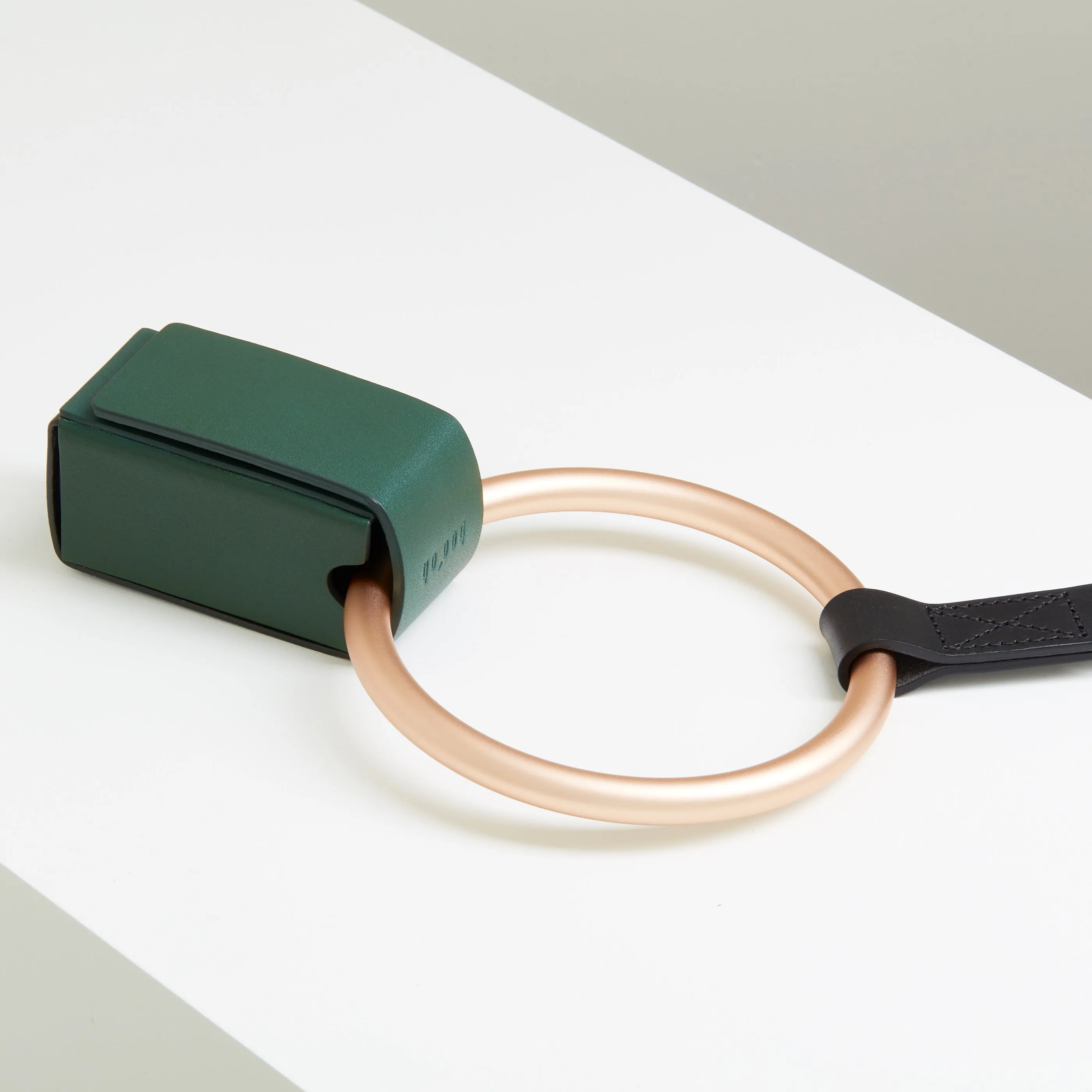 Lumi Leash