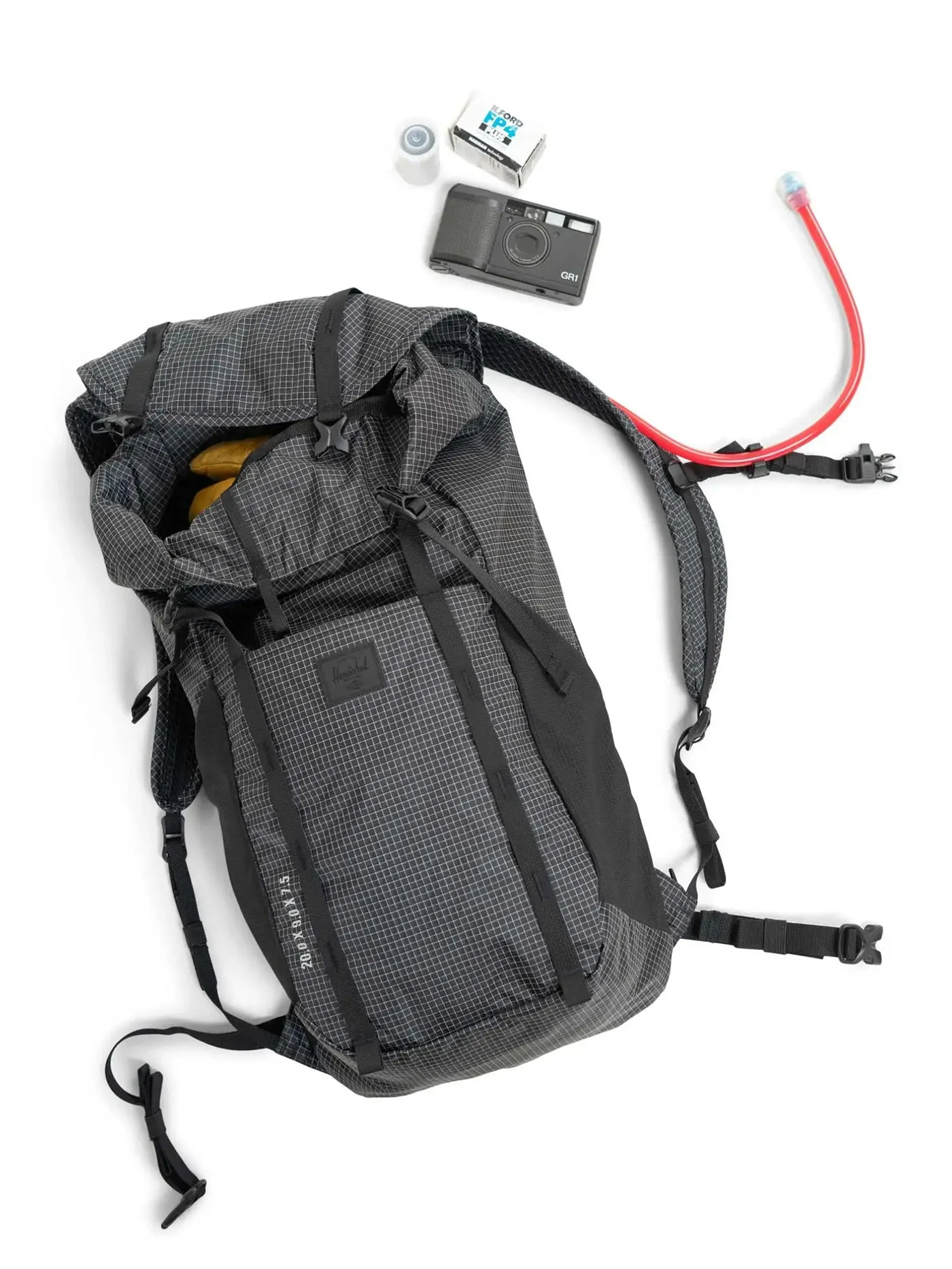 Ultralight 22L Backpack